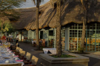 tanzania-lodge-safari1-1