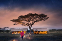 Serengeti-Under-Canvas-starry-nights-1536x864-1