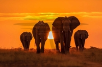 2150724775.jpg-6-19-03-985-PM