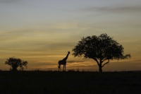 DSC00506_DxO-Bearbeitet