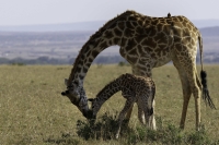 DSC00556_DxO-Bearbeitet