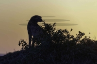 DSC00612_DxO-Bearbeitet