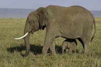 DSC00675_DxO-Bearbeitet