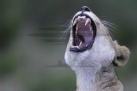 PSI00032_DxO-Bearbeitet