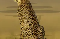 PSI00256_DxO-Bearbeitet-e1706534334227