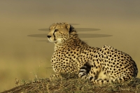 PSI00276_DxO-Bearbeitet