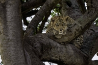 PSI08022_DxO_DxO-Bearbeitet