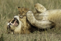 PSI08392_DxO-Bearbeitet