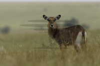 PSI08622_DxO-Bearbeitet