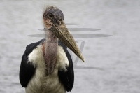 PSI08682_DxO-Bearbeitet