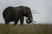 PSI08731_DxO-Bearbeitet