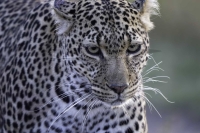 PSI08740_DxO-Bearbeitet