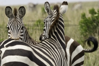 PSI08874_DxO-Bearbeitet