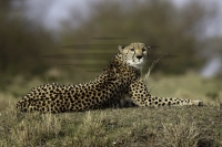 PSI09077_DxO-Bearbeitet