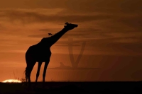 PSI09792_DxO-Bearbeitet