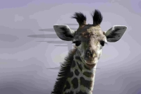 PSI09995_DxO_DxO-Bearbeitet