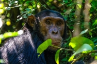 pexels-francesco-ungaro-7211435