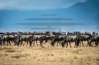 piotr-usewicz-LCz-NxpXDu4-unsplash