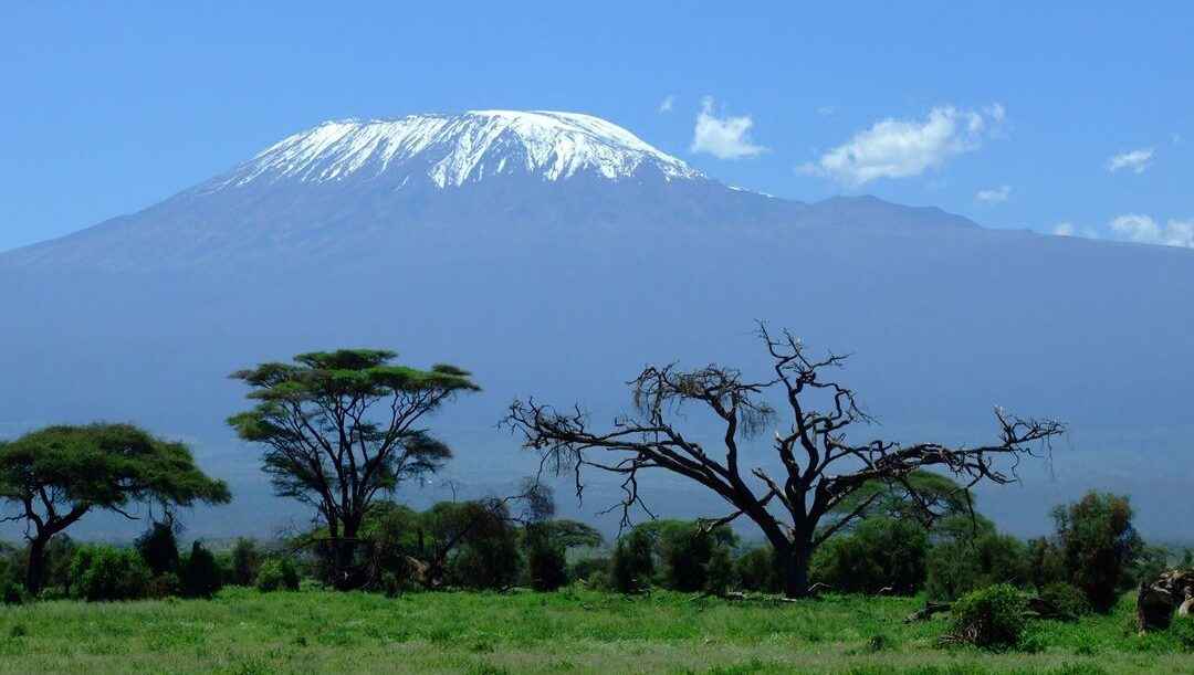 kilimanjaro-1025146-3rd-party