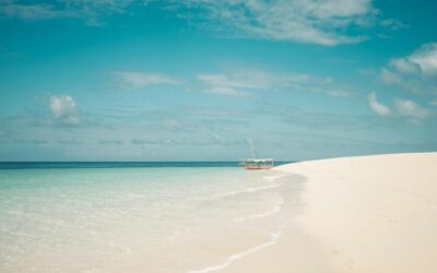 Mnemba Island