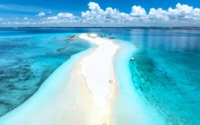 Safari Blue Zanzibar